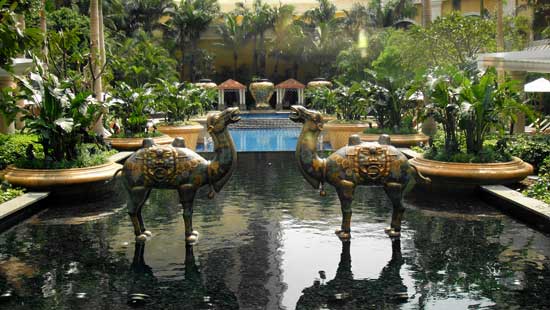 Wynn Macau camels