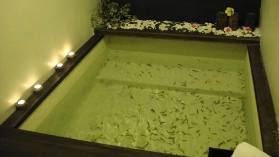 Singapore fish bath