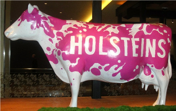 Holsteins - Cow