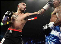 SAT - Cotto 200